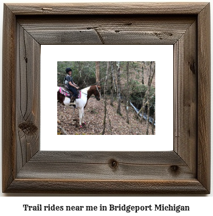 trail rides near me in Bridgeport, Michigan